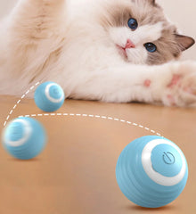 EFK Automatic Moving Cat Toy