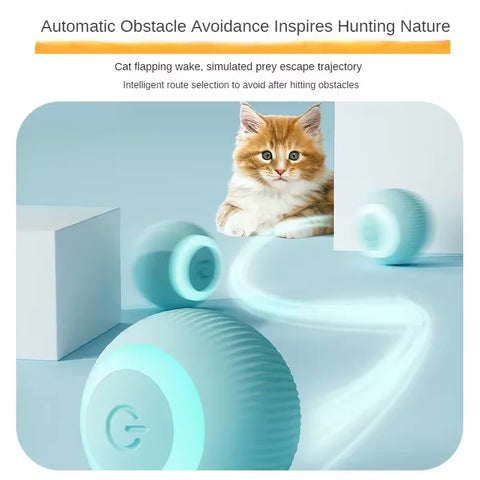 EFK Automatic Moving Cat Toy