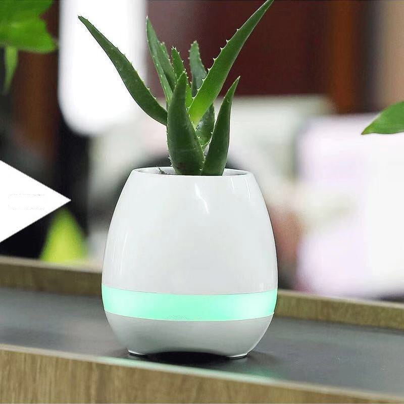 Music-Infused Smart Flower Pot