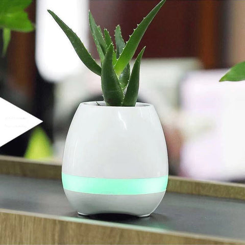 Music-Infused Smart Flower Pot