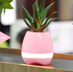 Music-Infused Smart Flower Pot