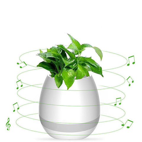 Music-Infused Smart Flower Pot