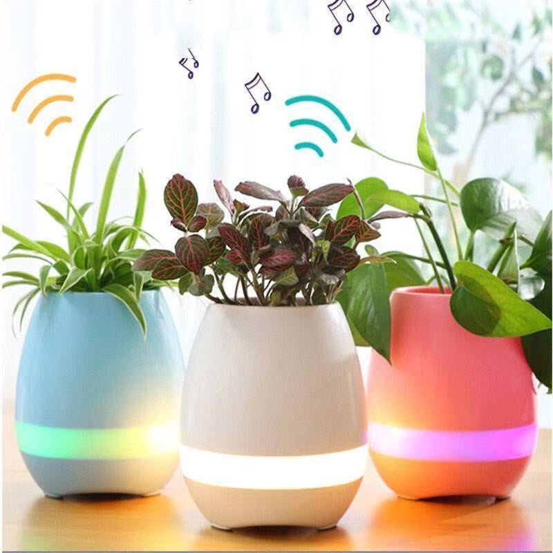 Music-Infused Smart Flower Pot